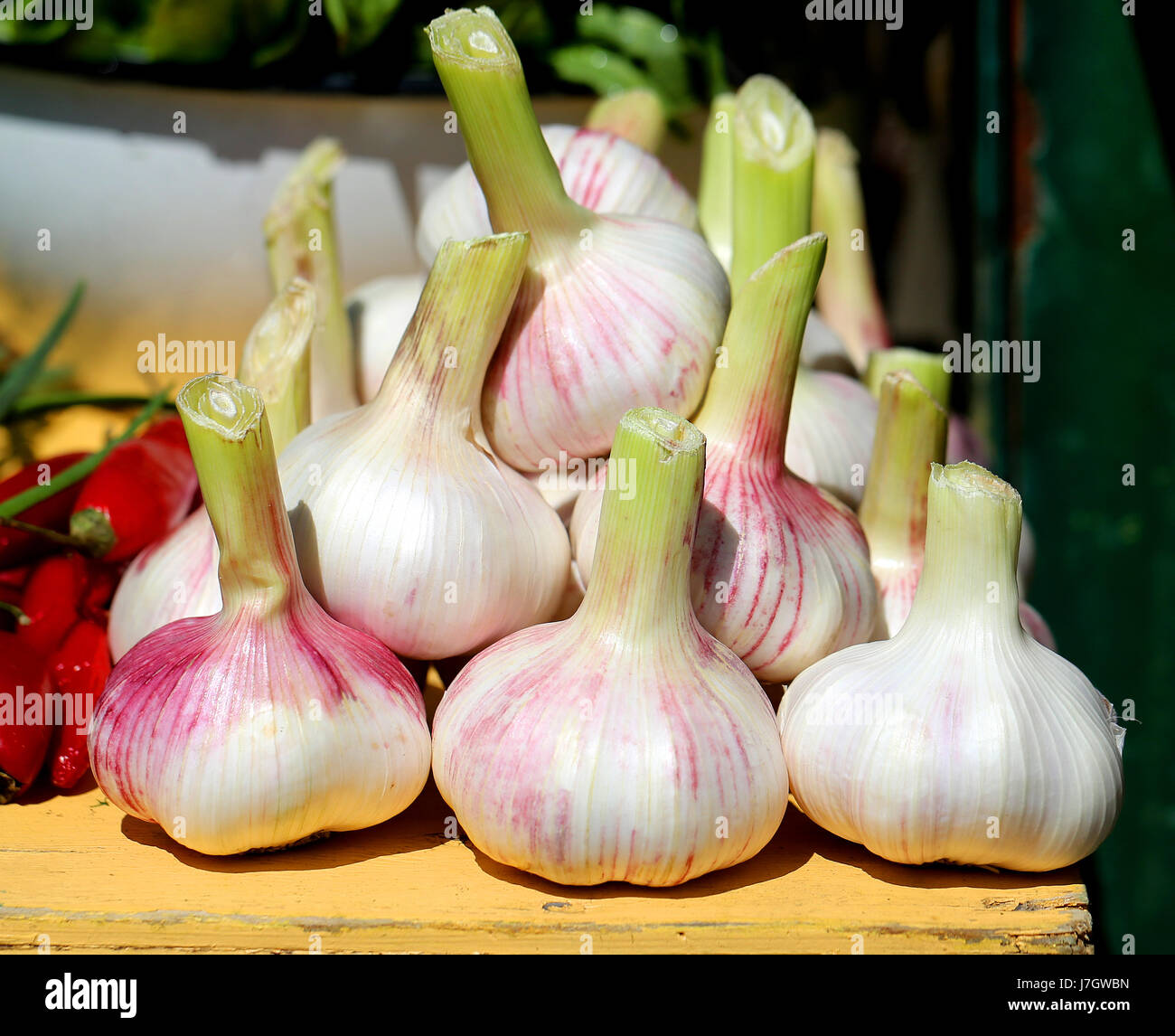 Leckeres Gemüse Knoblauch auf der Theke eines Ladens zu fotografieren, Nahaufnahme Stockfoto