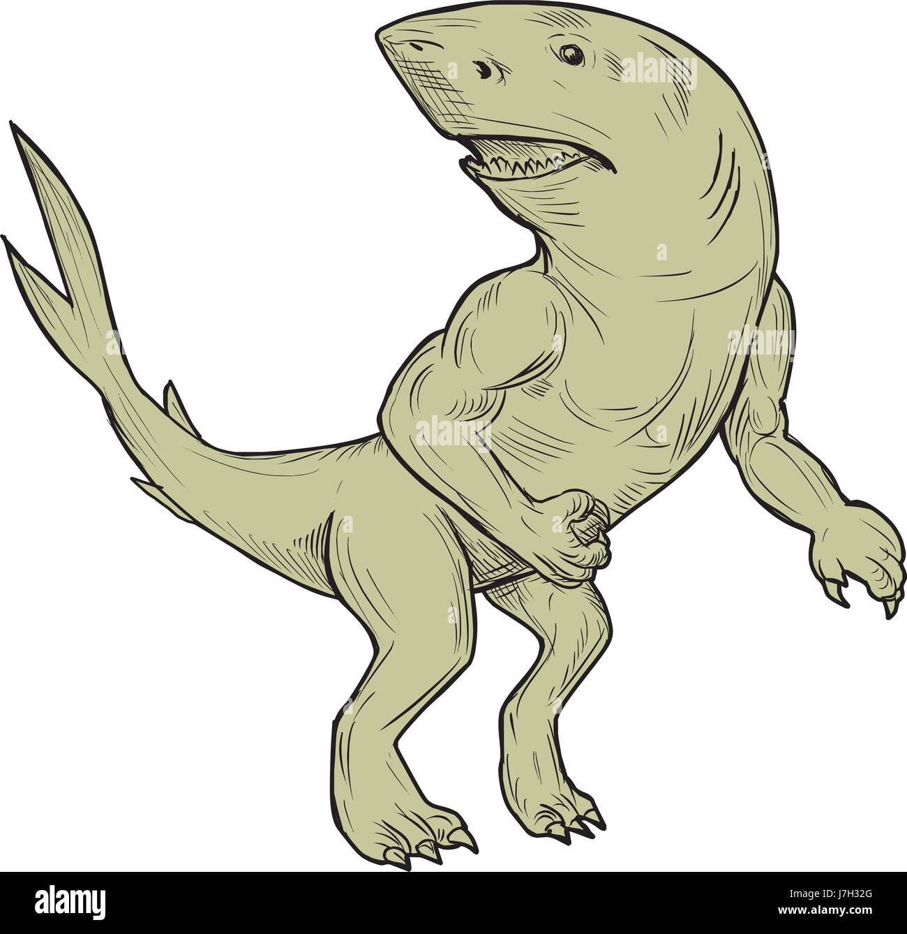 Zeichnung Skizze Stil Beispiel für ein Nanaue, ein Fabelwesen in der Hawaiian Folklore eines humanoiden Hais mit Armen und Beinen, die ich auf der Seite vie Stock Vektor