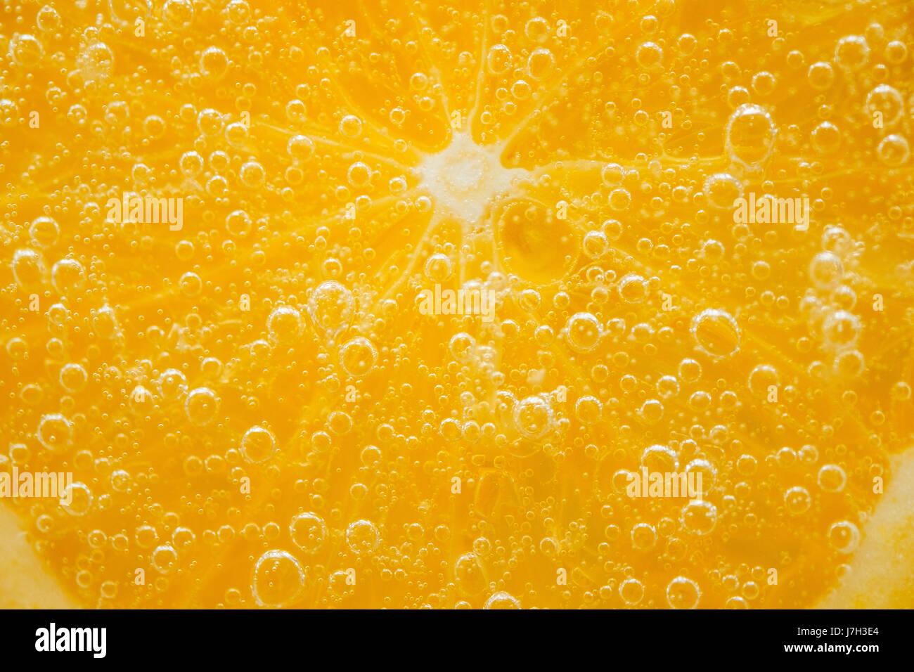 Orange Slice Stockfoto