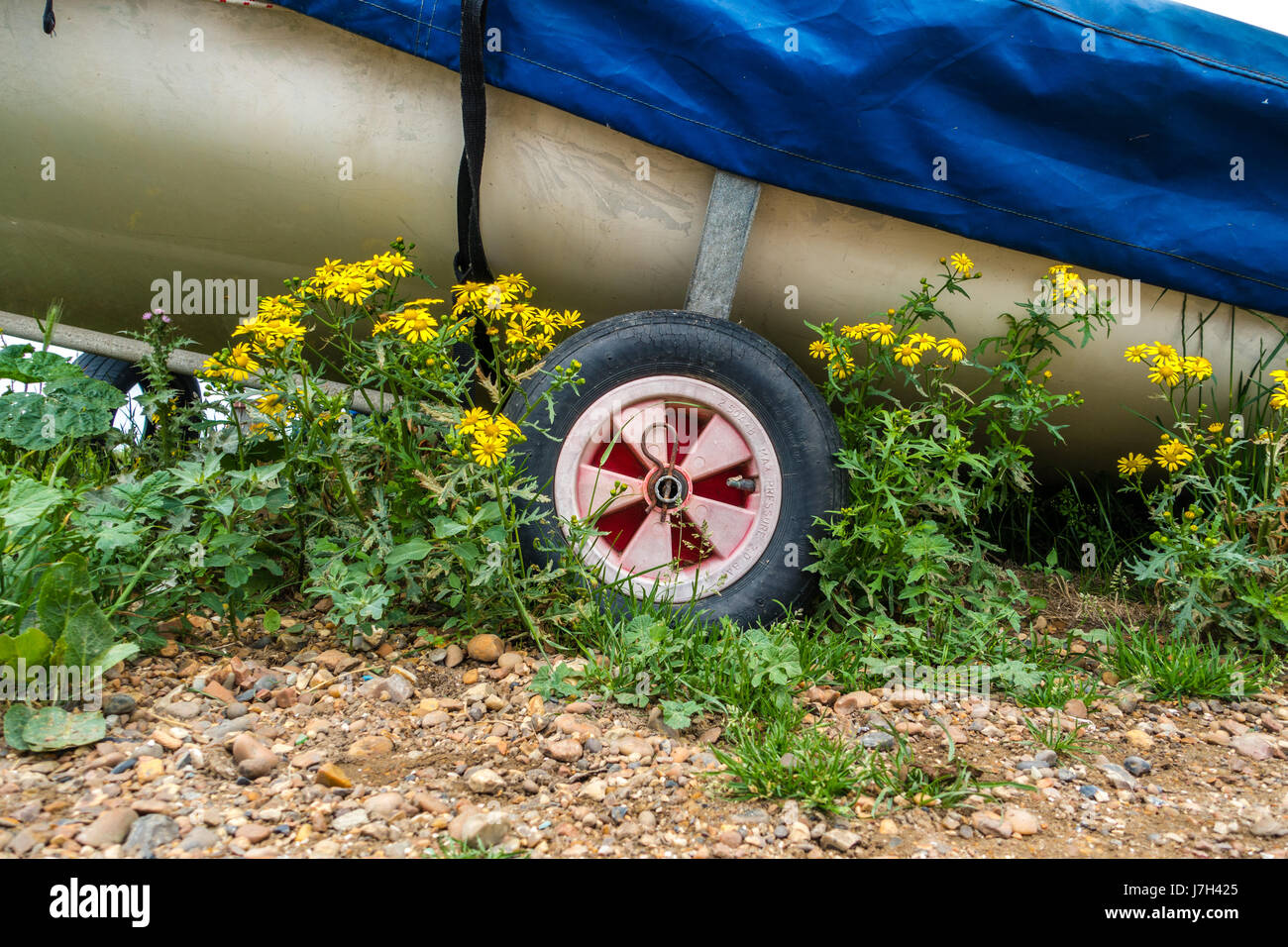 Die Räder der Bootsanhänger mit einem Boot angeschnallt. Blumen und Strand Steinen umgeben den trailer Stockfoto