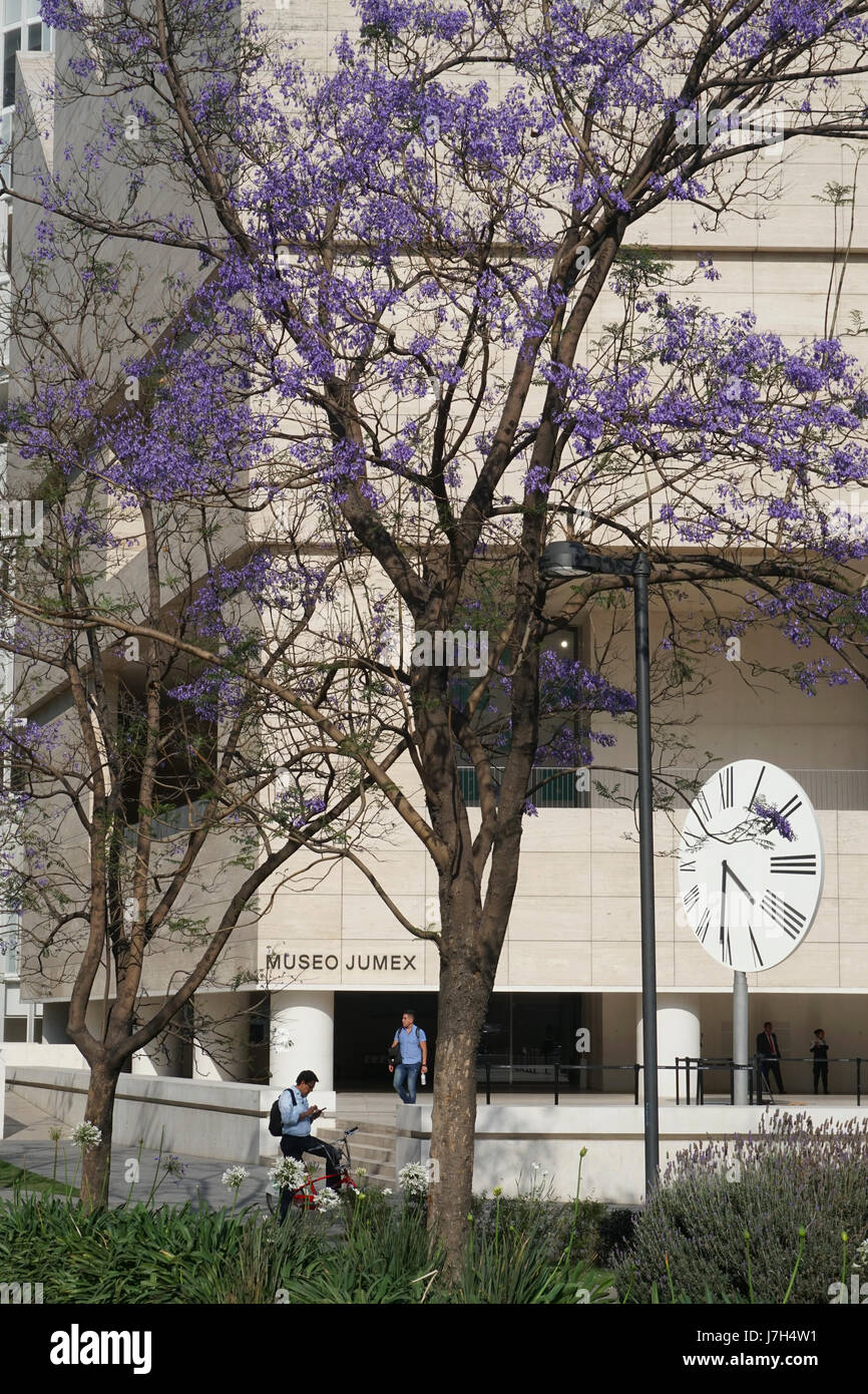 Museo Jumex im Stadtteil Polanco reiche Mexico City, Mexiko Stockfoto