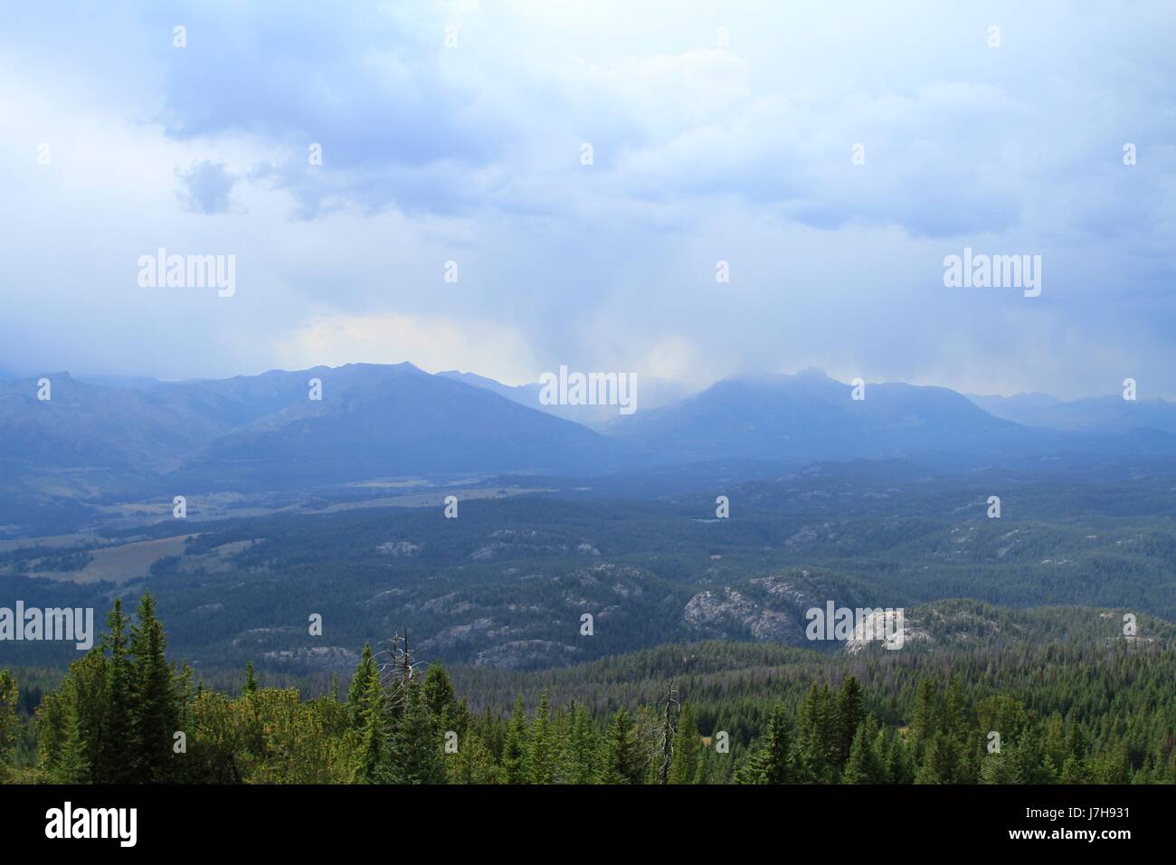 Beartooth Pass Ansichten, Montana Stockfoto