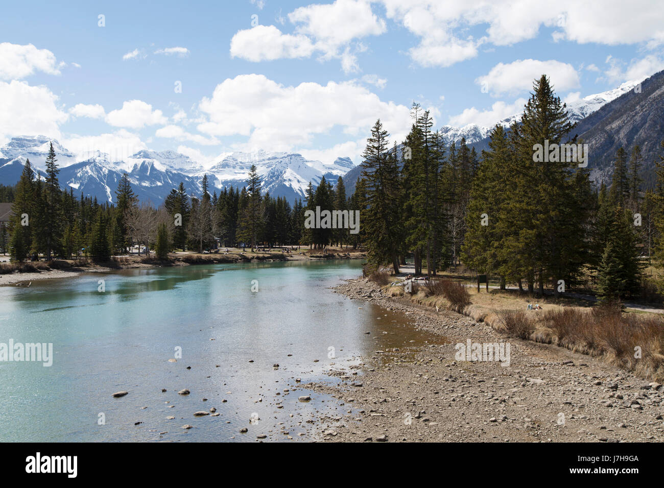 Der Bow River im Banff, Alberta, Kanada. Sulphur Mountain, einer der kanadischen Rocky Mountains, erheben sich über der Kurstadt. Stockfoto