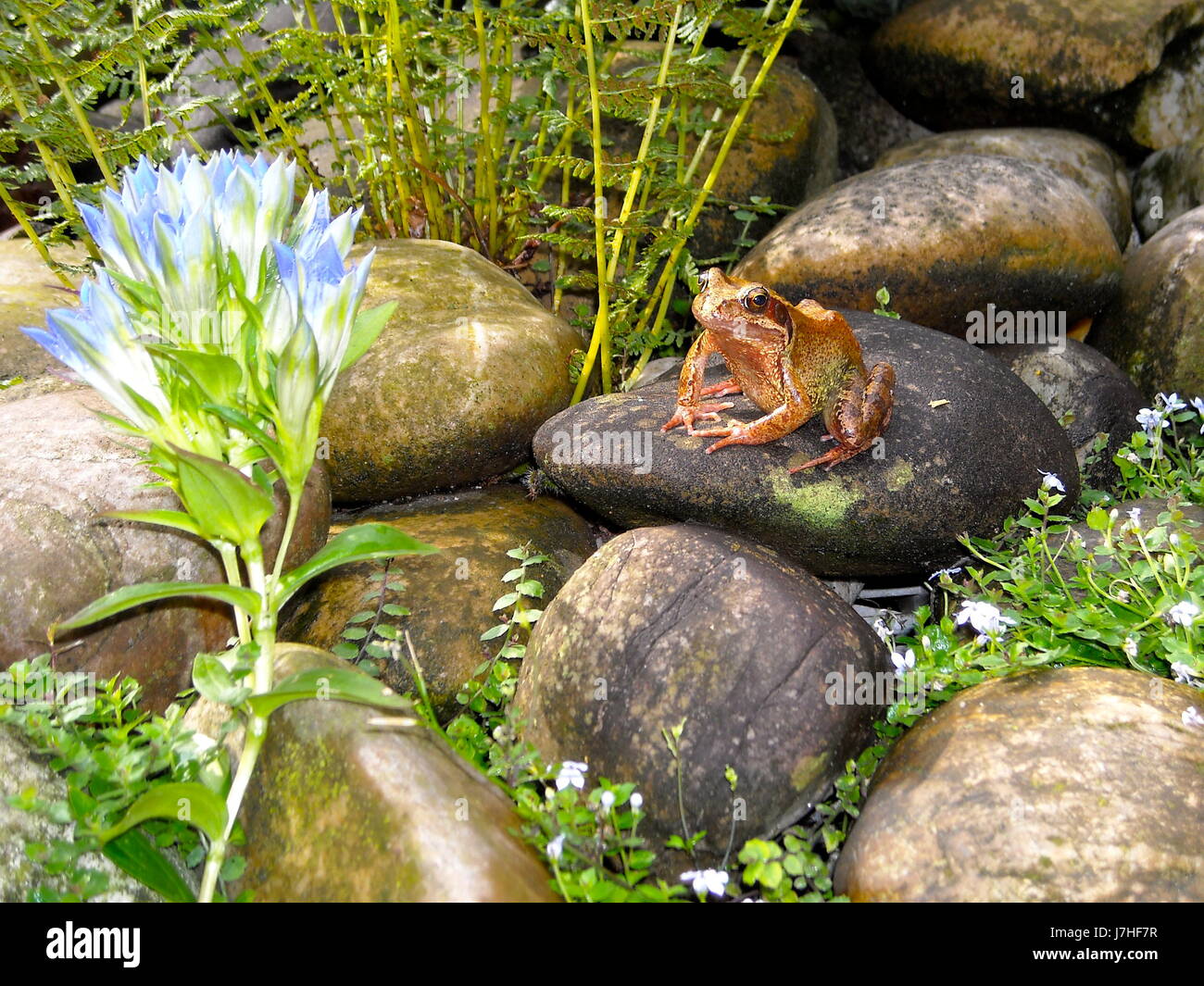 Hier bin ich zu Hause! Stockfoto