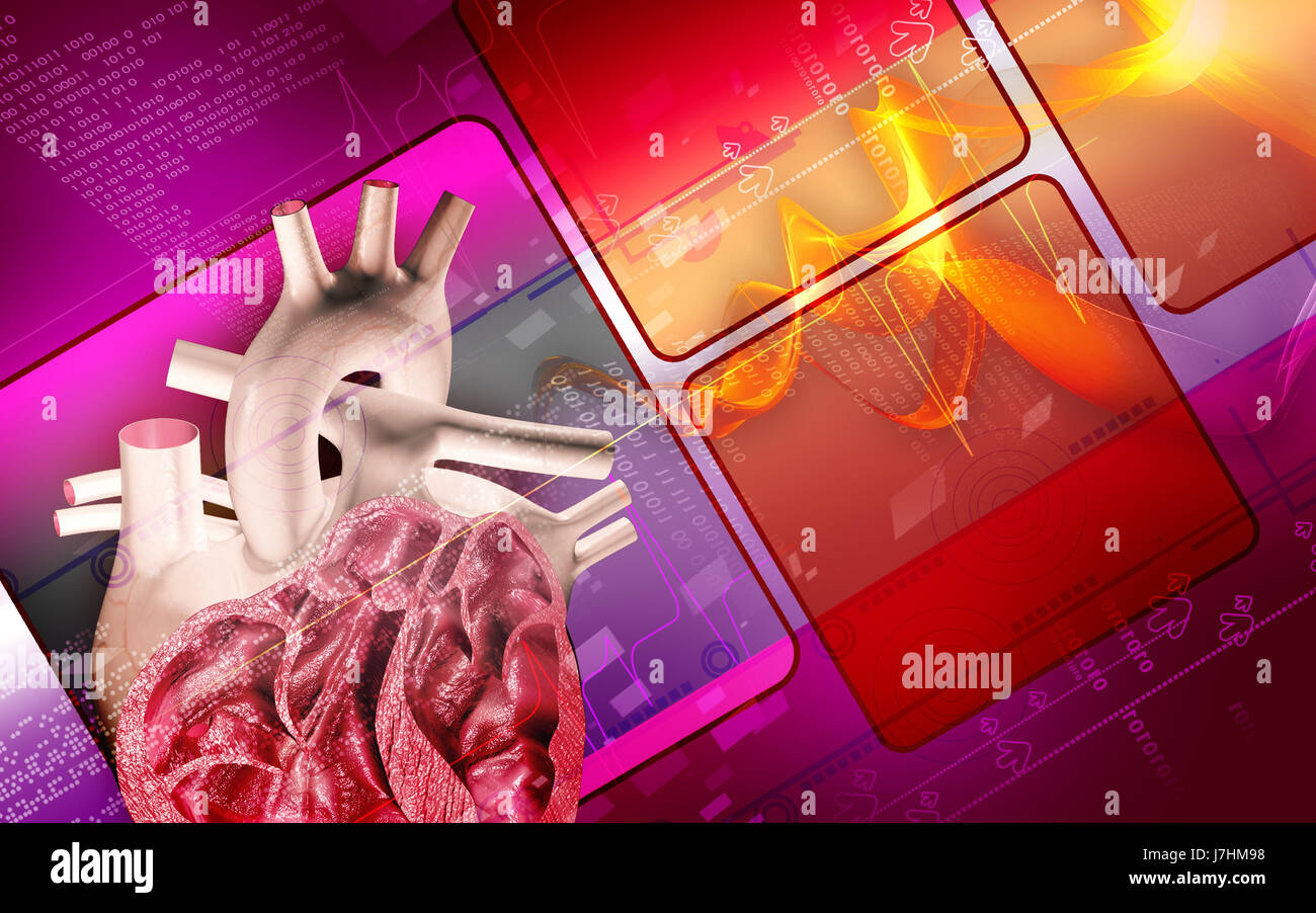 Bildung Gesundheit medizinisch medizinische Zirkulation Grafiken Farbe Wissenschaft menschlichen Stockfoto