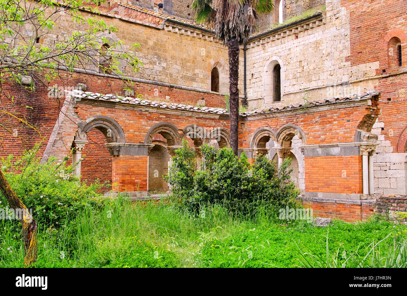 San Galgano 04 Stockfoto