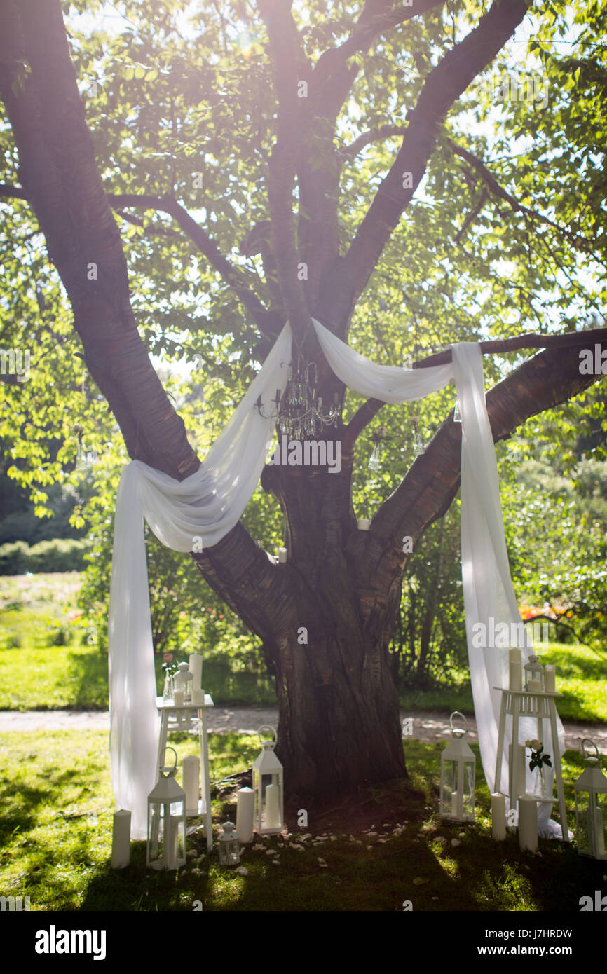 Photozone in der Natur für eine Hochzeit Stockfoto