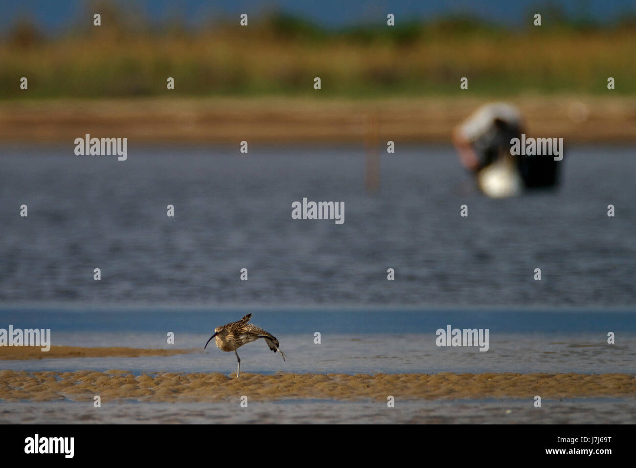 Neretva-Delta, Kroatien Stockfoto
