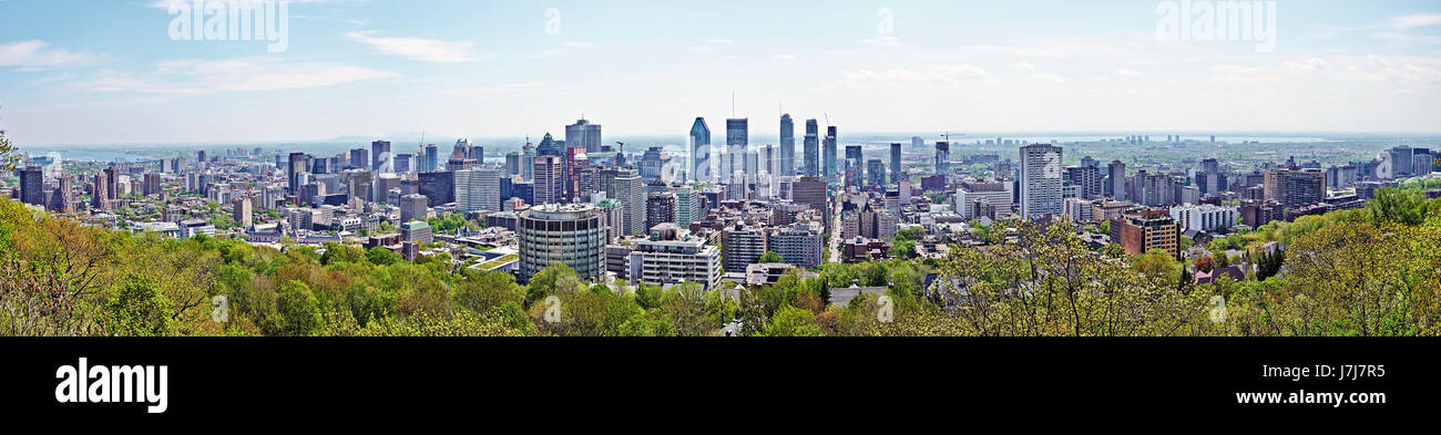 MONTREAL, QUEBEC, Kanada - 18. Mai 2017: Skyline Panorama der Stadt von Montreal, Quebec, Kanada. Geschossen Sie vom Mount Royal über der Stadt. Stockfoto