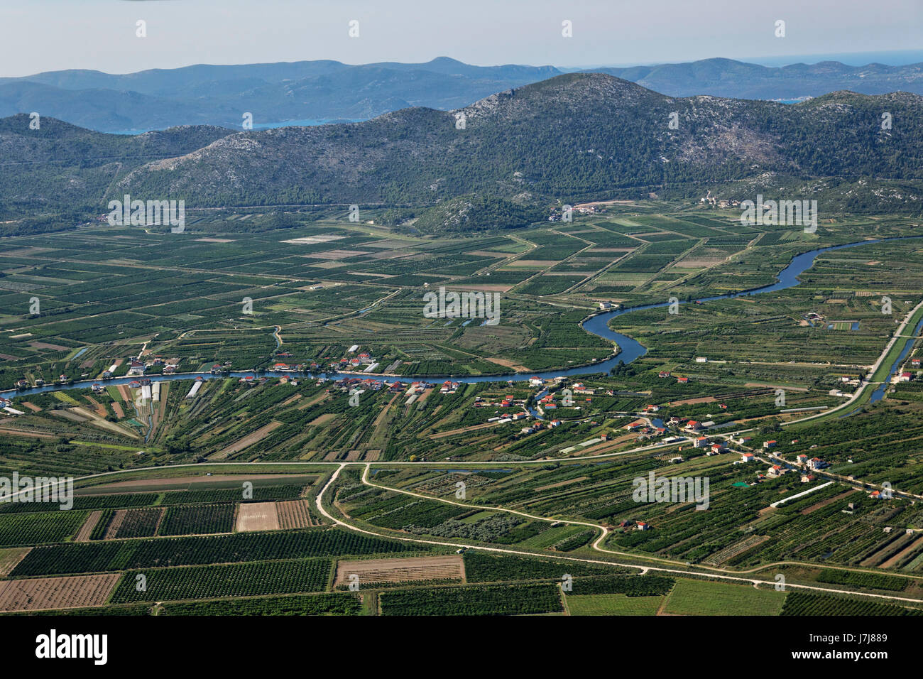 Plantagen auf der Neretva delta, Kroatien Stockfoto