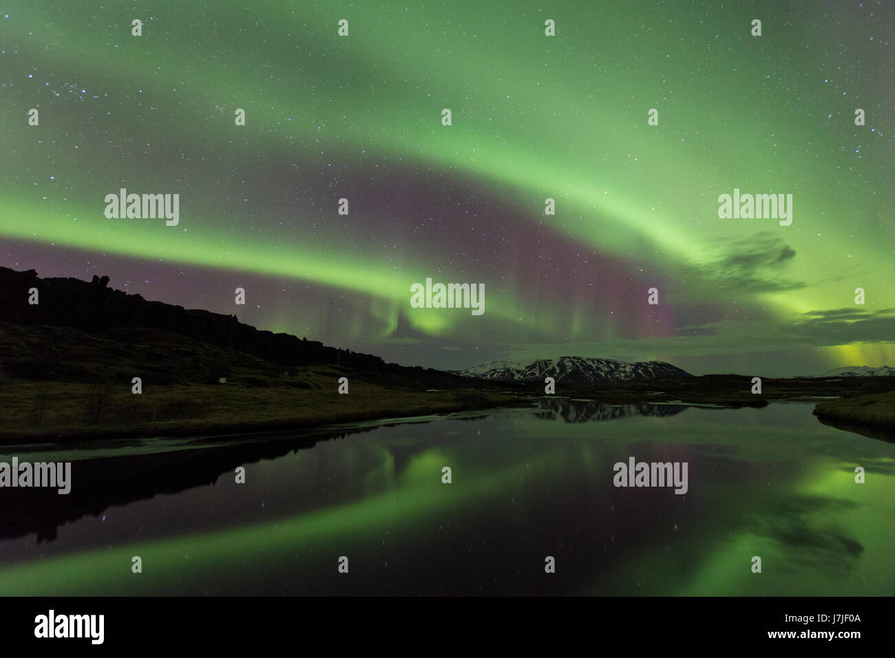 Nordlichter (Aurora Borealis) - Þingvellir Nationalpark, Island Stockfoto