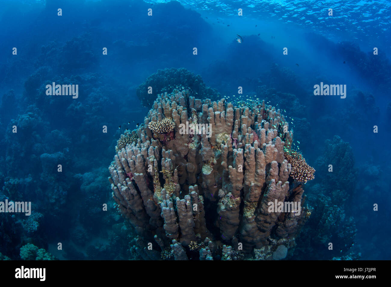 Sediment über dem Korallenriff schafft eine neblige Szene über bergige Seelandschaft im Roten Meer vor der Küste von Port Ghalib, Ägypten. Stockfoto