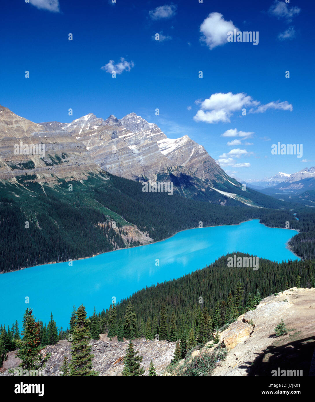 Peyto Lake mit Gletscherwasser. Banff NP, Alberta, Kanada Stockfoto