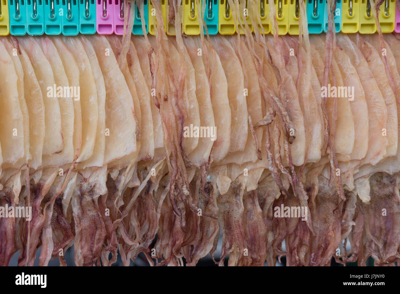 Getrockneten Tintenfisch Draht hängen Stockfoto