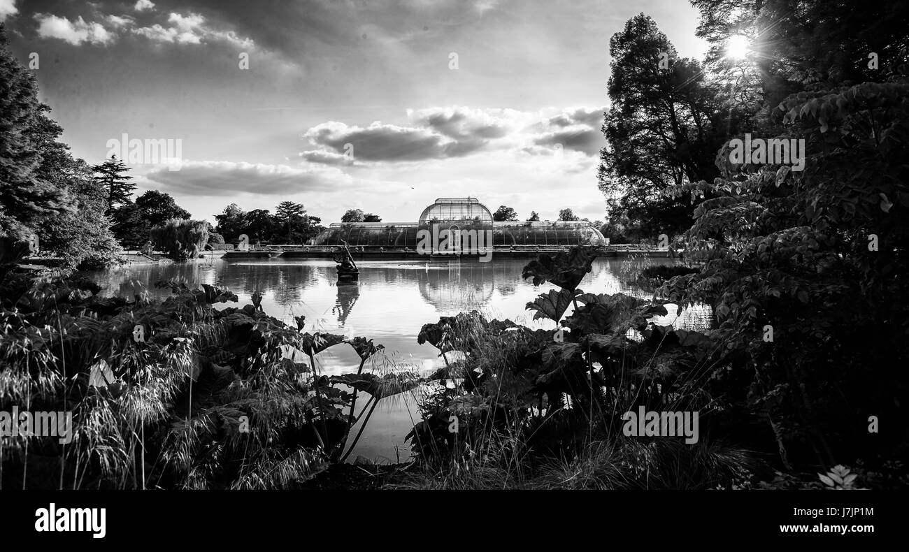 Eine allgemeine Ansicht des Palmenhauses im The Royal Botanic Gardens, Kew, London. Stockfoto