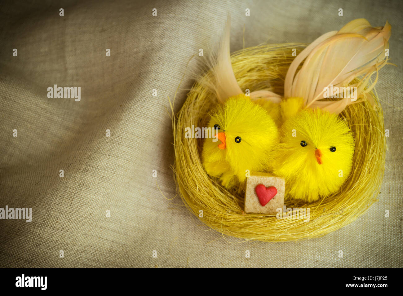 Paar im goldenen Nest mit dekorierten Brown Sugar Cube, Vintage-Stil mit Vignette Vögel. Stockfoto