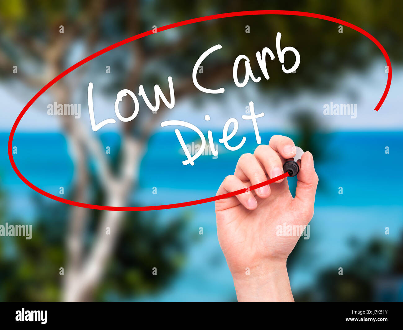 Hand des Mannes Low Carb Diät mit schwarzem Filzstift auf Bildschirm zu schreiben. Isoliert auf Natur. Wirtschaft, Technologie, Internet-Konzept. Stock Foto Stockfoto