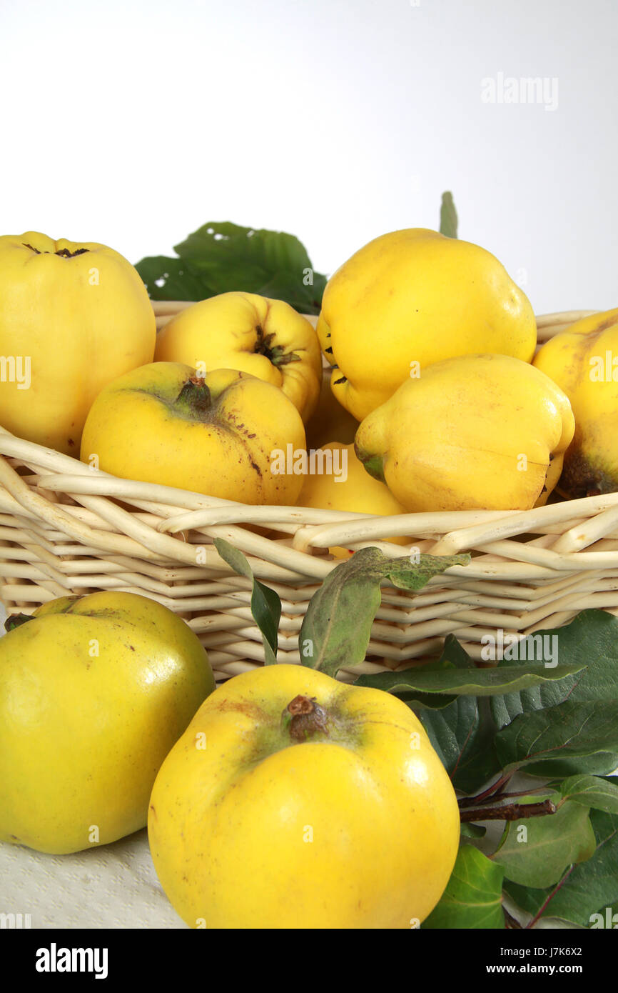 Kernobst Frucht Quitten gelbe Nahrungsmittel Nahrungsmittel Korb Kernobst  Frucht Geschmack Stillleben Marmelade Stockfotografie - Alamy