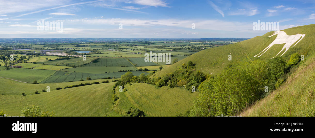 Blick von Westbury White Horse. Hill-Figur geschaffen, indem man weißen Kreide auf der Böschung der Salisbury Plain in Wiltshire, Großbritannien Stockfoto