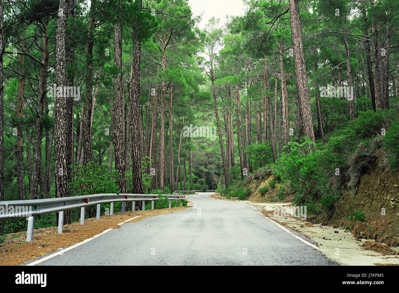 Atemberaubende Scenic Route durch den Wald In den Bergen Stockfoto