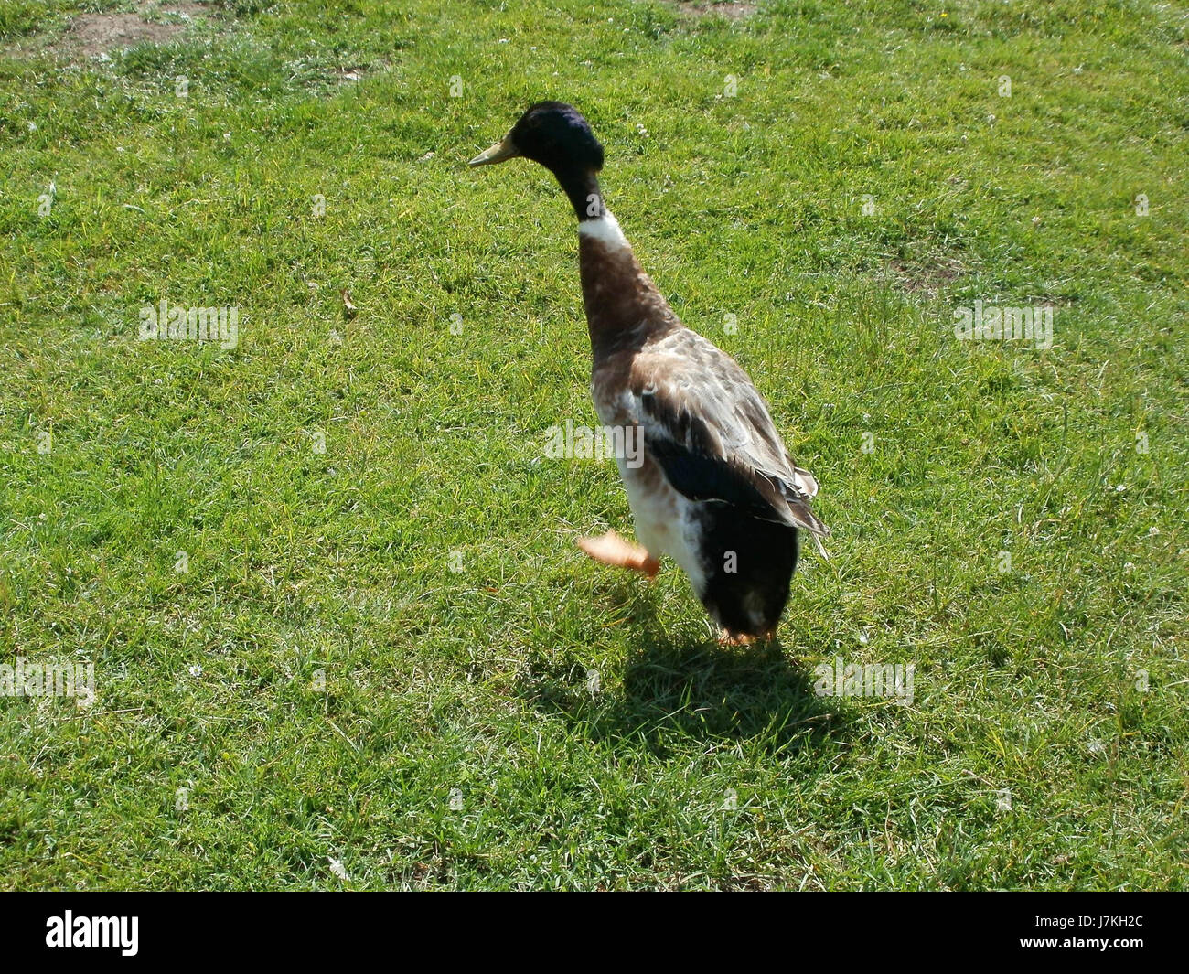 Dieses Bild stellt den Deutsch-Französischer Garten dar, einen öffentlichen Park in Saarbrücken, Deutschland, der das deutsche und französische Kulturerbe und Landschaften zeigt. Stockfoto Dieses Bild stellt den Deutsch-Französischer Garten dar, einen öffentlichen Park in Saarbrücken, Deutschland, der das deutsche und französische Kulturerbe und Landschaften zeigt. Stockfoto