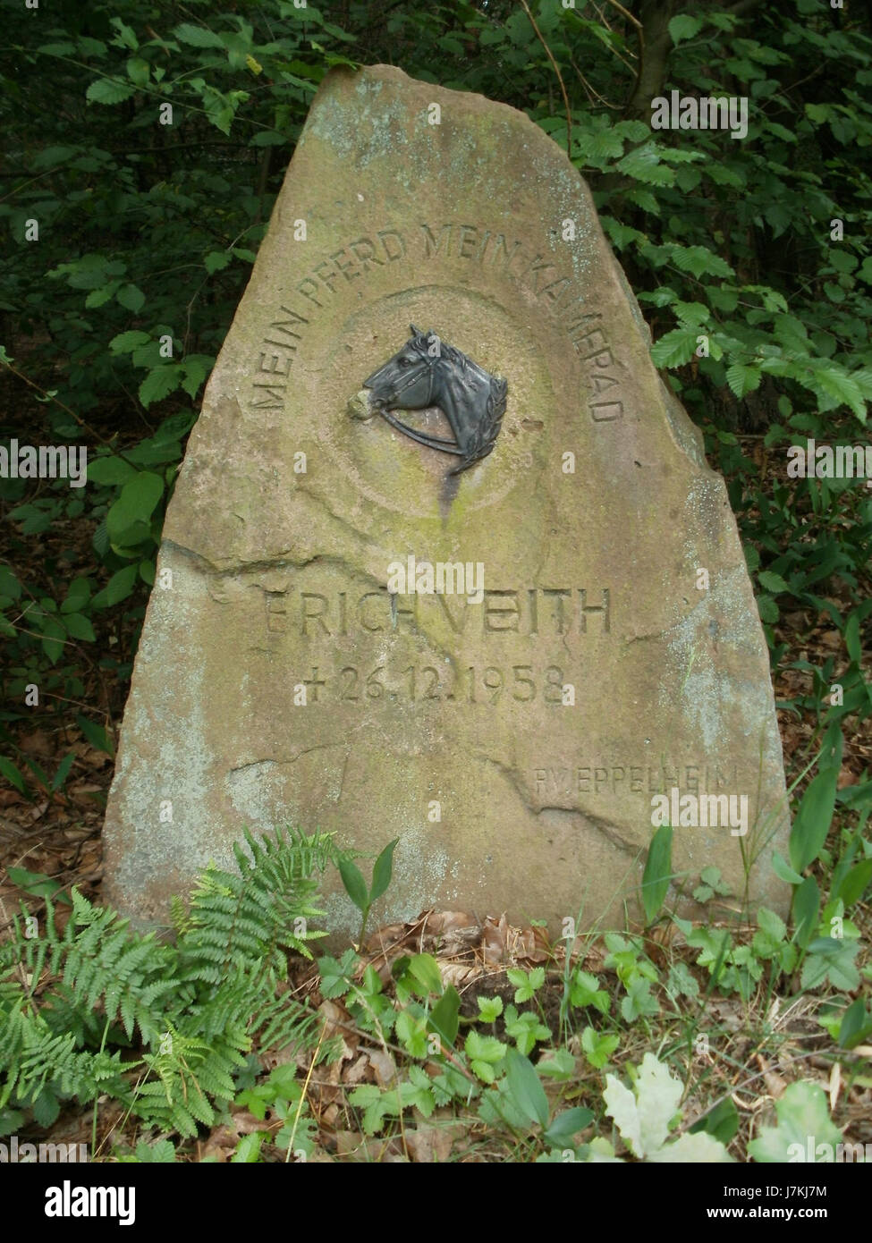 20110623Veith Denkmal1 Stockfoto
