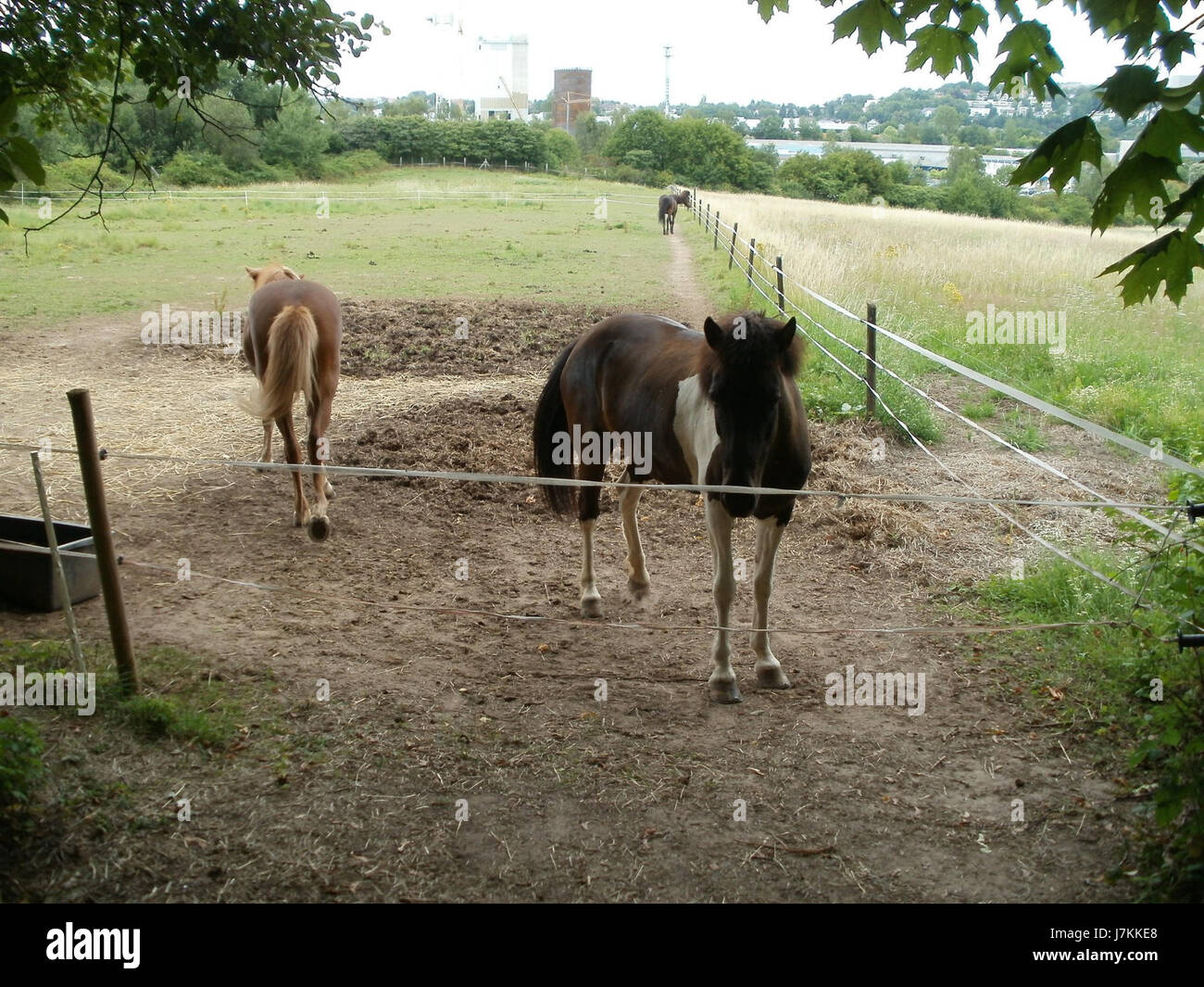 20110706Almet14 Stockfoto