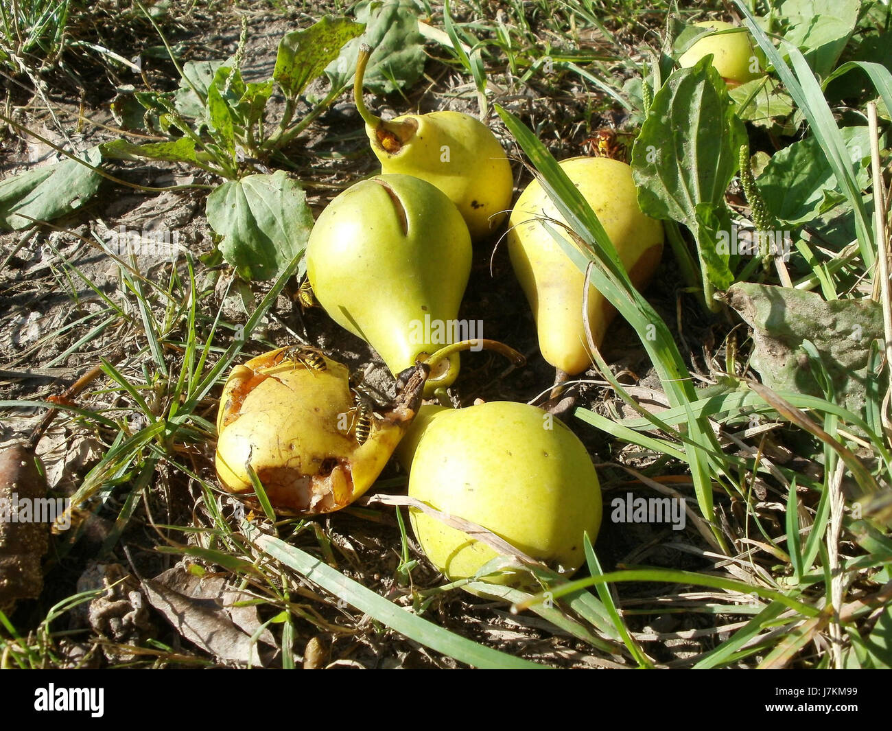 Dieser Verweis scheint sich auf ein Ereignis oder ein Dokument vom 18. Juli 2011 zu beziehen, das möglicherweise mit einem bestimmten Ort oder Ereignis zusammenhängt und einer weiteren Klärung bedarf. Stockfoto