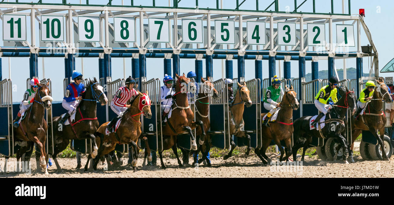Start Pferderennen Stockfotografie - Alamy