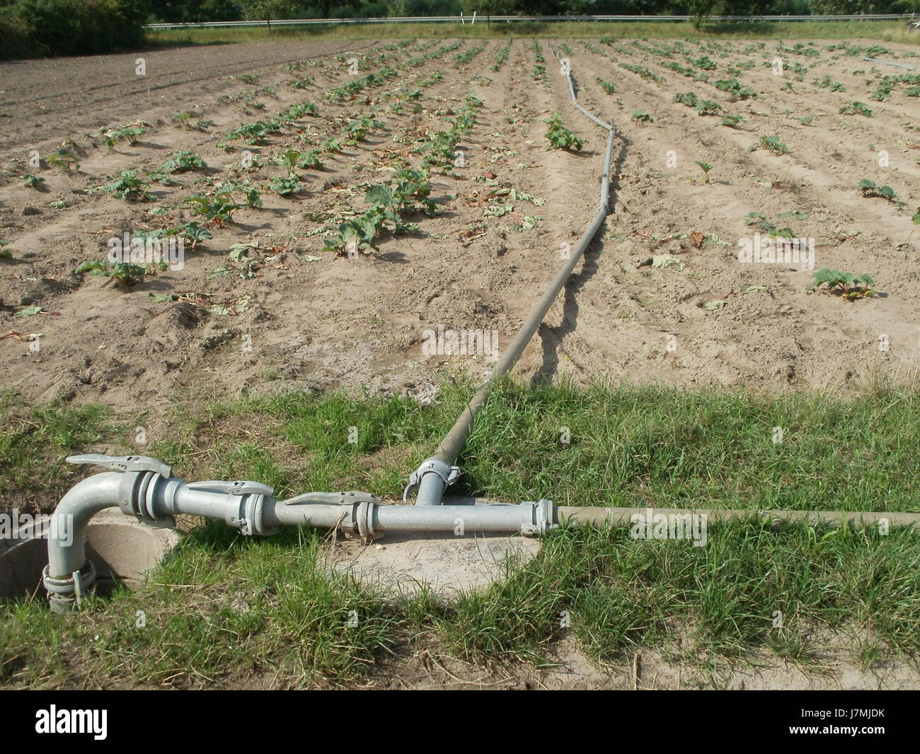 Der Titel bezieht sich wahrscheinlich auf ein Ereignis oder Verfahren im Zusammenhang mit der Feldbewässerung in Neulussheim, einer Stadt in Deutschland, das am 28. Juli 2011 aufgezeichnet wurde. Sie könnte sich auf moderne landwirtschaftliche Praktiken konzentrieren. Stockfoto
