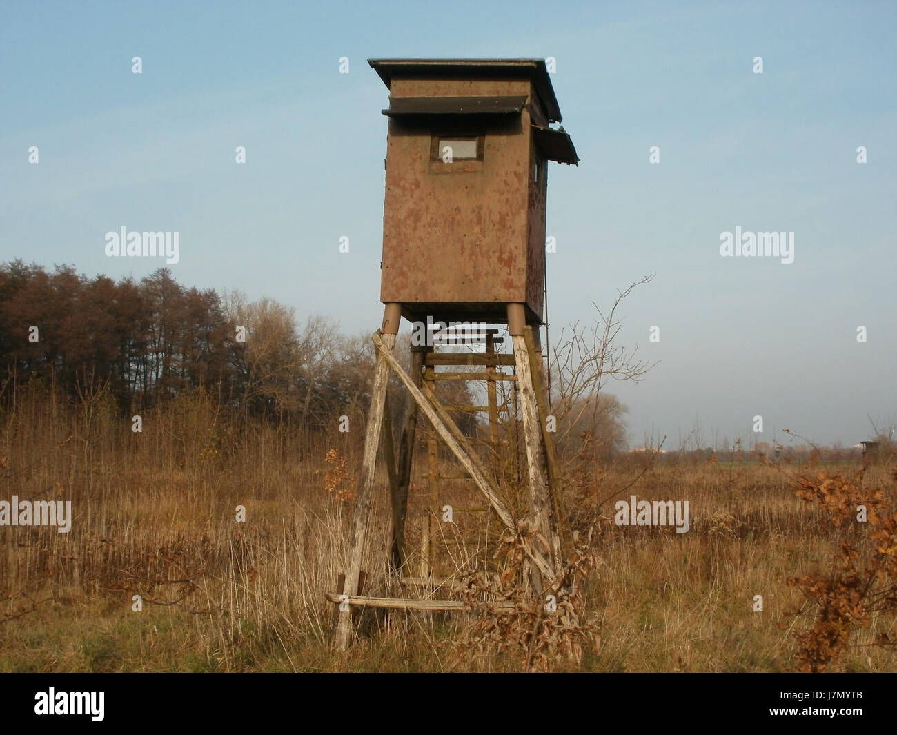 Dies bezieht sich wahrscheinlich auf ein bestimmtes Datum, den 15. November 2011, und den Standort eines Hochsitzes in Hockenheim, der zur Jagd und Wildbeobachtung genutzt wird. Stockfoto
