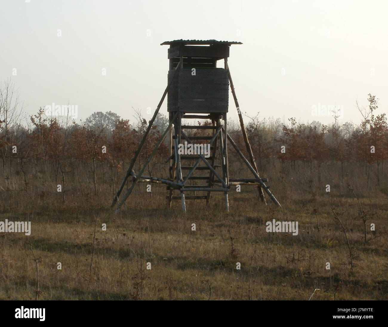 Ein Foto des Hochsitzes in Hockenheim, aufgenommen am 15. November 2011, mit einem Jagdstand in einem Waldgebiet nahe der Region Hockenheim. Stockfoto