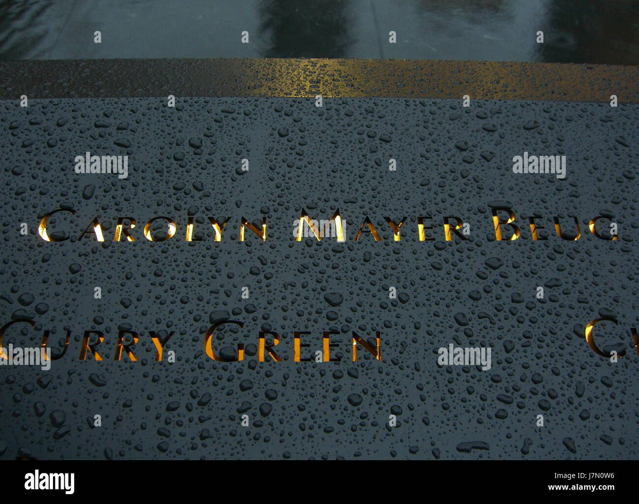 Dies bezieht sich auf ein Foto oder Bild einer Platte von Carolyn Beug, aufgenommen am 12. Juni 2011 von Luigi Novi. Das Panel ist wahrscheinlich Teil einer Ausstellung oder eines Kunstwerks. Stockfoto