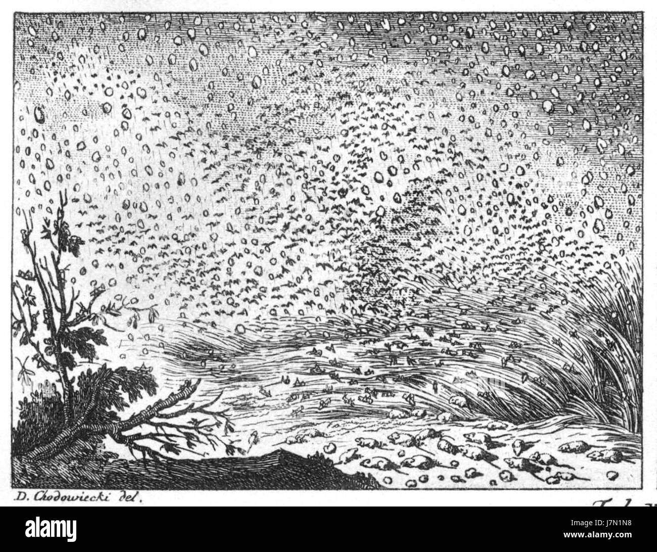 Chodowieckis „Basedow Tafel 23 c“ ist eine detaillierte Illustration, die eine Szene darstellt, die mit dem Werk des deutschen Künstlers Daniel Chodowiecki assoziiert ist. Das Bild ist Teil einer größeren Serie, die das europäische Leben des 18. Jahrhunderts zeigt und sich auf das Zusammenspiel von Individuen in historischen Umgebungen konzentriert. Stockfoto