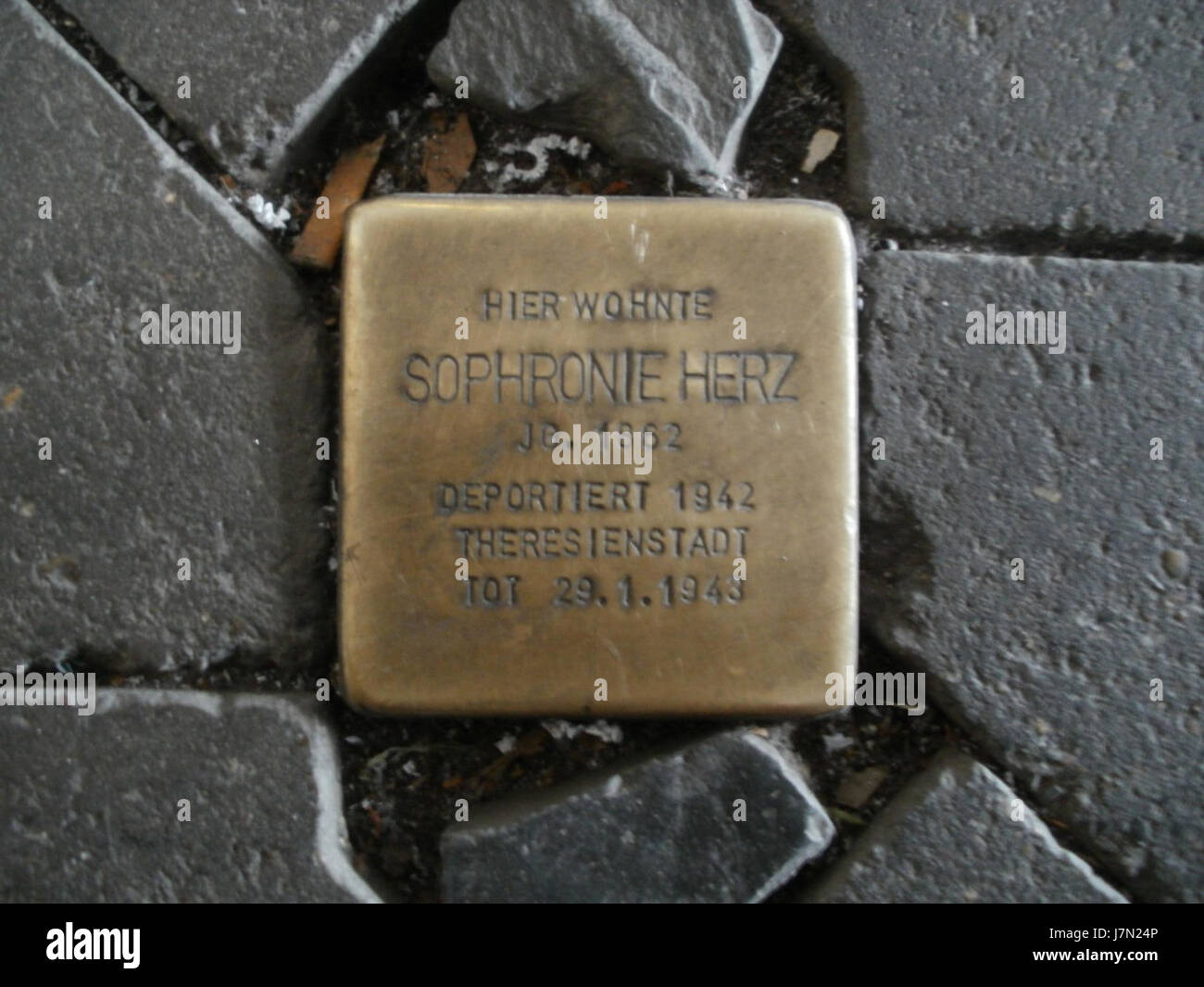 Die Stolpersteine in SaarbrÃ¼cken, die am 13. Januar 2012 errichtet wurden, erinnern an die Opfer des Holocaust und markieren historische Stätten, an denen Personen während des Zweiten Weltkriegs verfolgt oder deportiert wurden Stockfoto