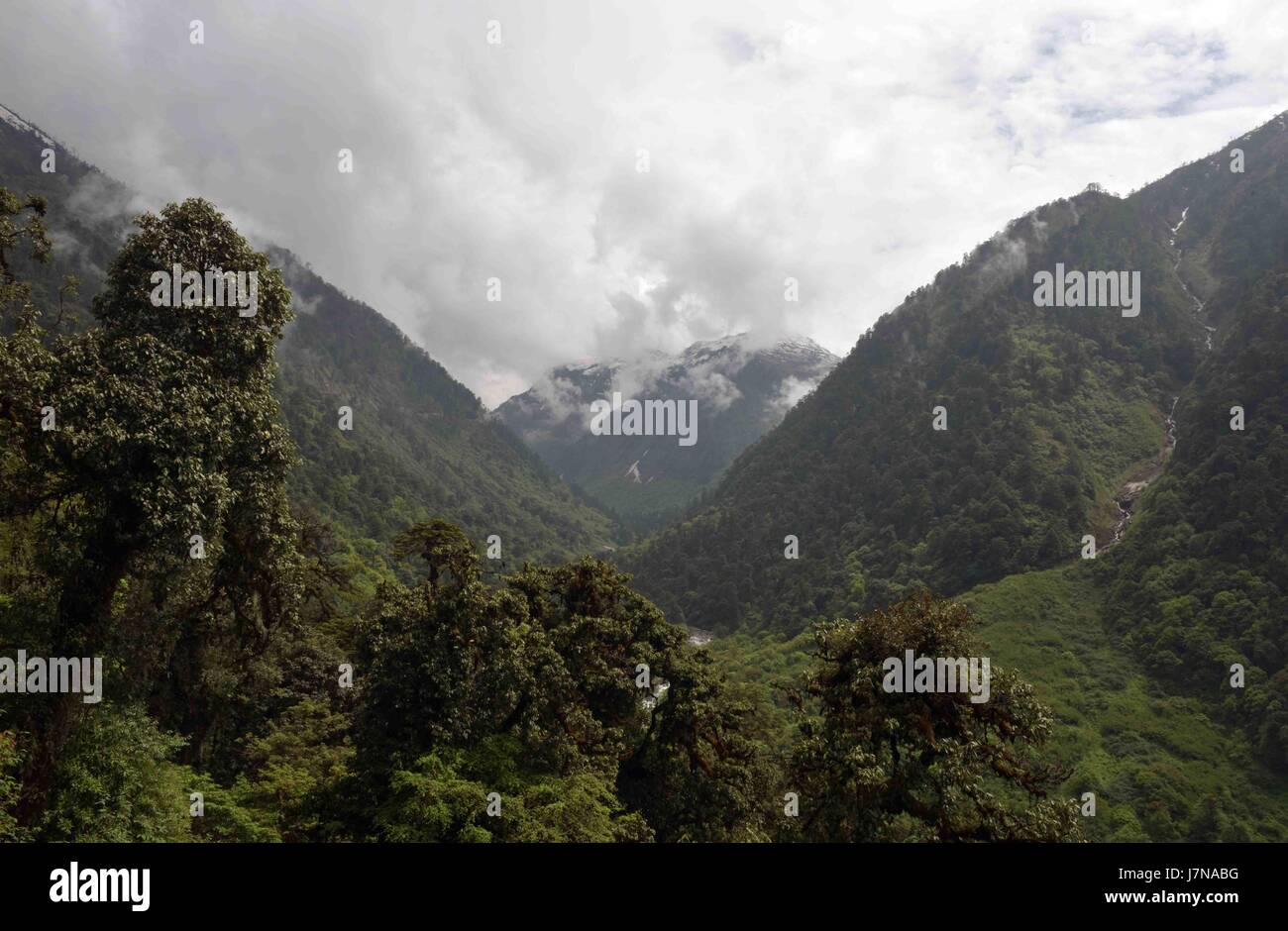 Gongshan. 25. Mai 2017. Foto aufgenommen am 25. Mai 2017 zeigt die Landschaft des Dulon River Valley in Gongshan Dulong und Nu autonome Grafschaft, der südwestlichen chinesischen Provinz Yunnan. Bildnachweis: Yang Zongyou/Xinhua/Alamy Live-Nachrichten Stockfoto