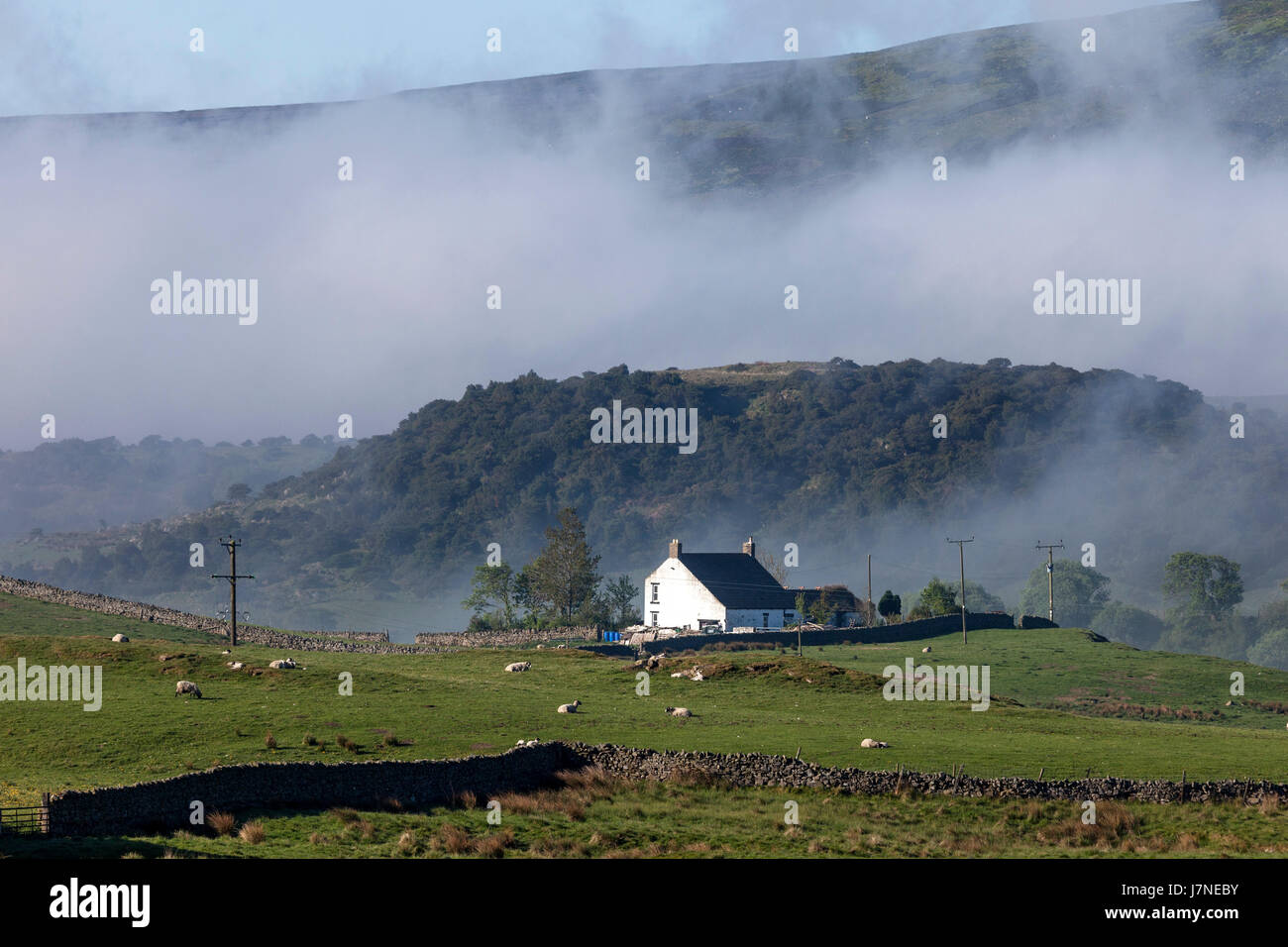 Wald-in-Teesdale, County Durham UK. Freitag, 26. Mai 2017. Großbritannien Wetter. Ein weiterer heißer sonniger Tag in Aussicht im Nordosten Englands als Nebel beginnt zu brechen um die Gehöfte der oberen Teesdale in den North Pennines. Bildnachweis: David Forster/Alamy Live-Nachrichten Stockfoto