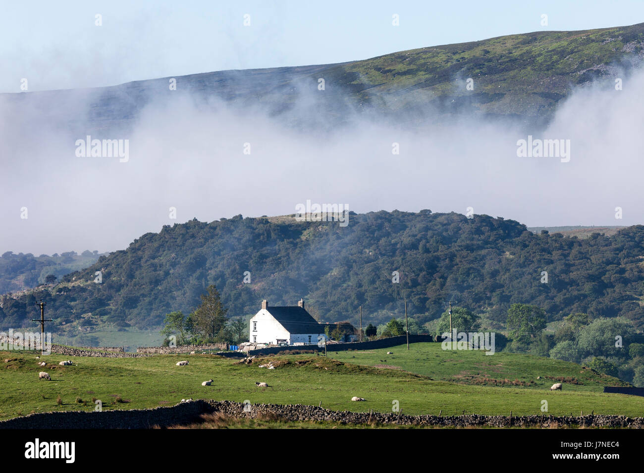 Wald-in-Teesdale, County Durham UK. Freitag, 26. Mai 2017. Großbritannien Wetter. Ein weiterer heißer sonniger Tag in Aussicht im Nordosten Englands als Nebel beginnt zu brechen um die Gehöfte der oberen Teesdale in den North Pennines. Bildnachweis: David Forster/Alamy Live-Nachrichten Stockfoto