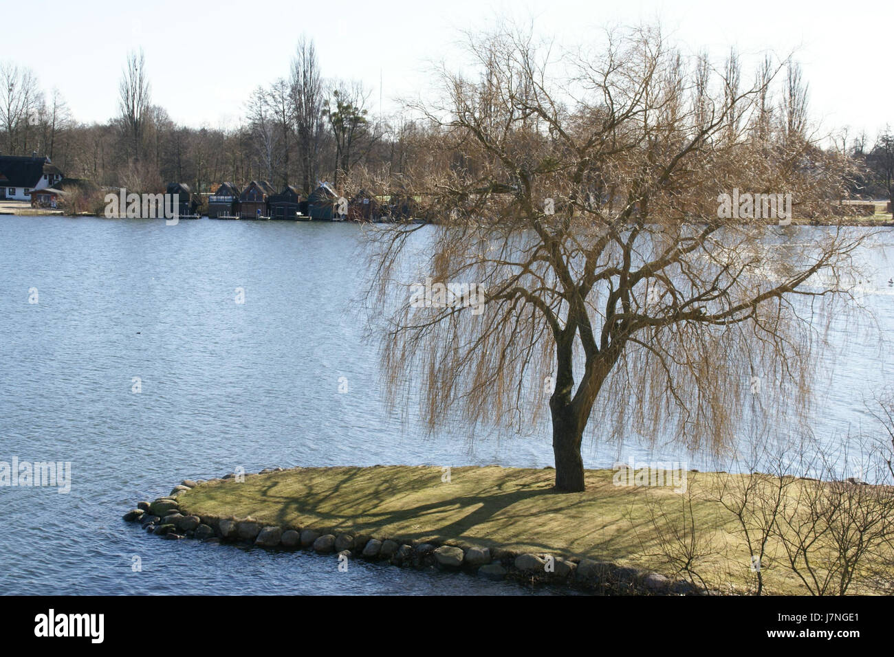 Dieses Bild vom 26. Februar 2012 zeigt die ruhige Landschaft des Baum Schweriner Innensees in Schwerin. Das Foto zeigt das ruhige Wasser des Sees und die umliegenden Bäume und spiegelt die friedliche Umgebung der Region wider. Stockfoto