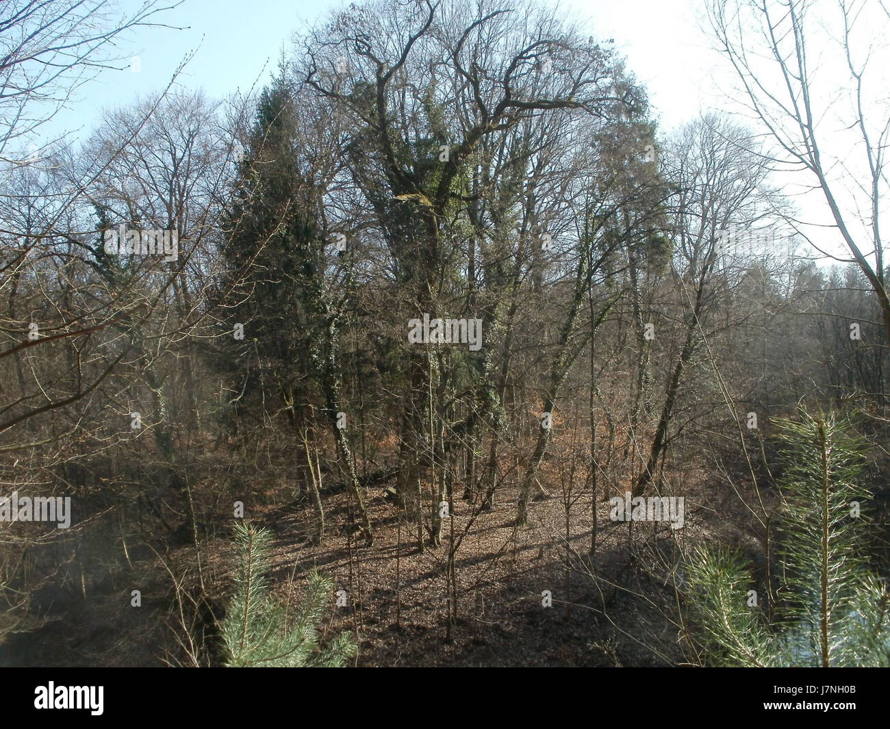 Das Wasserloch in Hockenheim ist ein bemerkenswerter Ort am Hockenheimring, einer Rennstrecke, die für den Formel 1 Grand Prix und andere Motorsportveranstaltungen bekannt ist. Es ist eine Ecke von historischer Bedeutung im Motorsport. Stockfoto