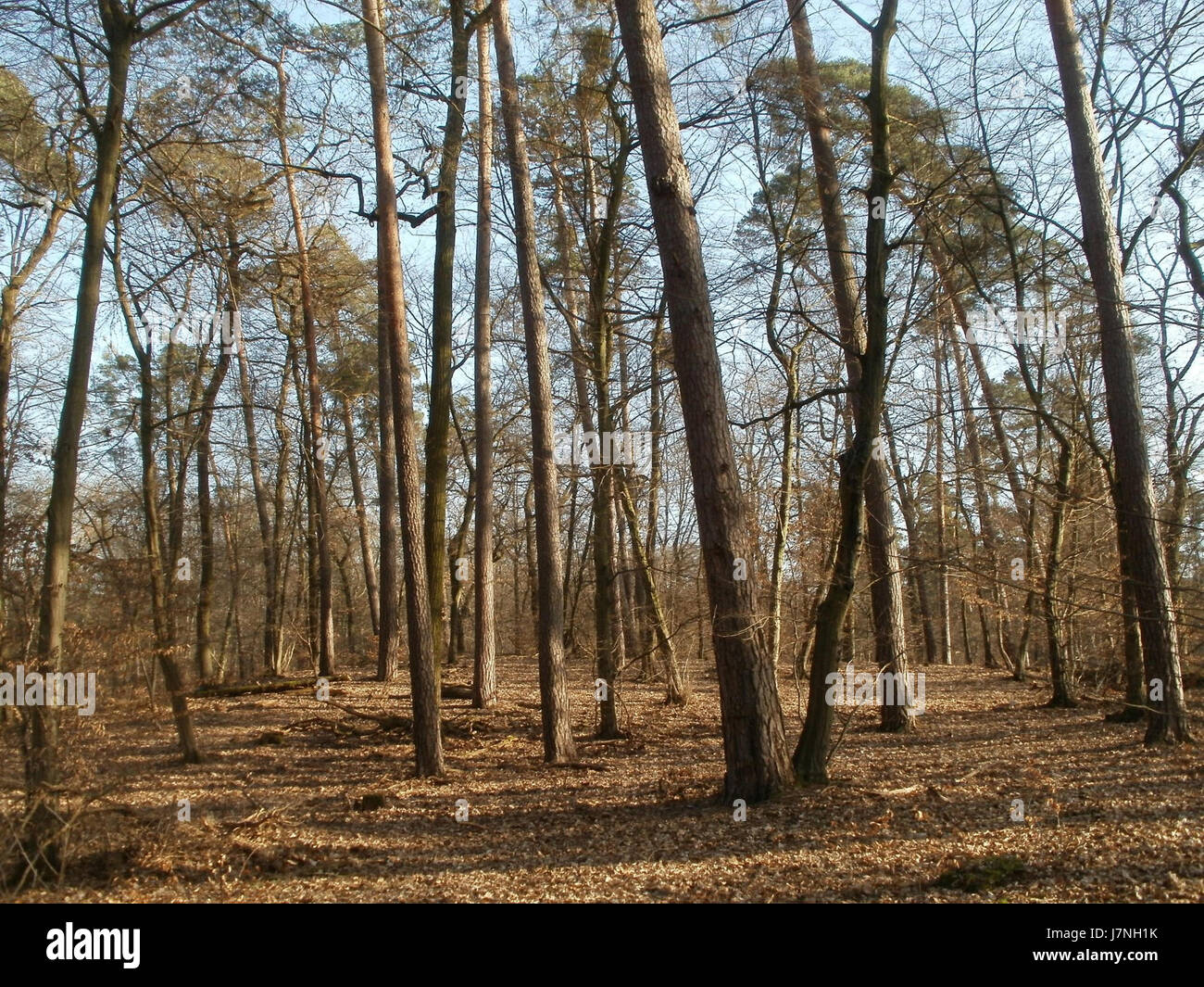 Dieses Bild vom 16. März 2012 zeigt einen Blick auf die Ostkurve, eine legendäre Ecke an einer Rennstrecke, die für ihre anspruchsvollen Kurven und die historische Bedeutung für Rennveranstaltungen bekannt ist. Stockfoto