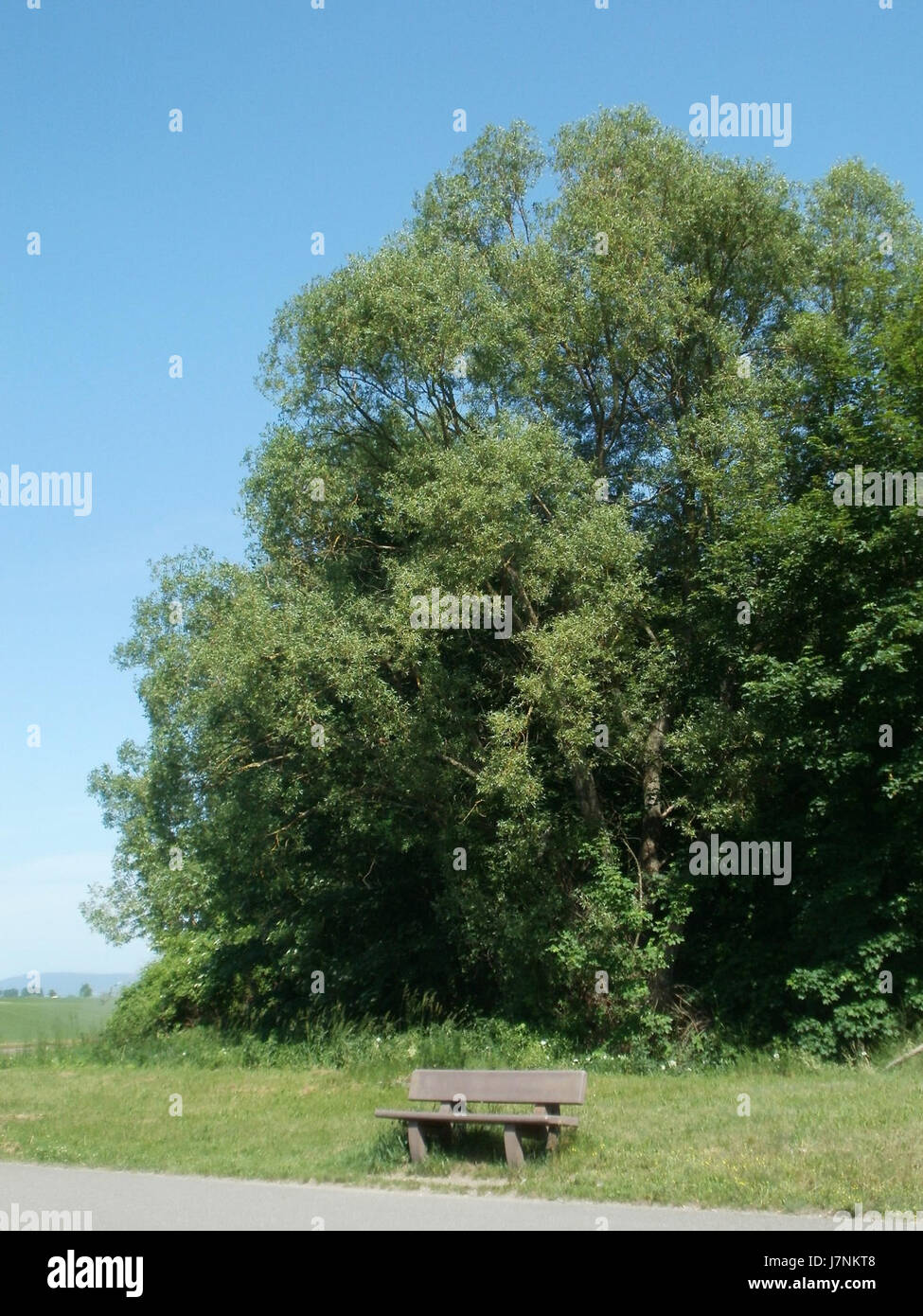 Die Bank untere Lusshardt ist wahrscheinlich ein Ort oder ein natürliches Merkmal in einer Region, die mit der Wasserwirtschaft oder dem Bodenschutz in ihrem Gebiet in Verbindung steht. Stockfoto