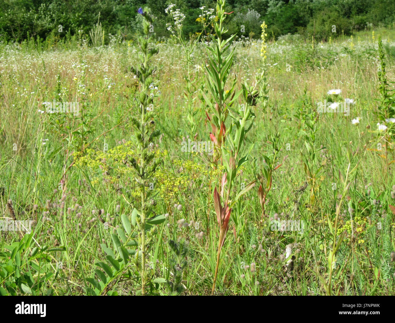 Ein detaillierter Blick auf die Ostkurve des Hockenheimrings, eine der berühmten Rennstrecken Deutschlands. Diese Kurve ist ein ikonischer Teil der Rennstrecke, die in Motorsport-Wettbewerben, insbesondere in der Formel 1, verwendet wird. Stockfoto