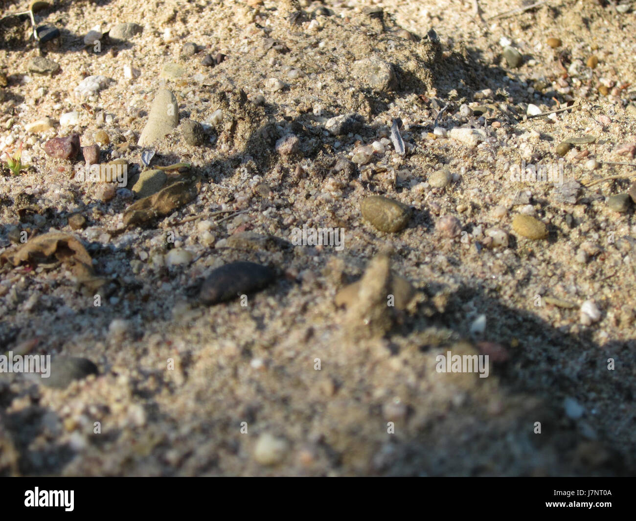 20120810Wueste Hockenheim3 Stockfoto
