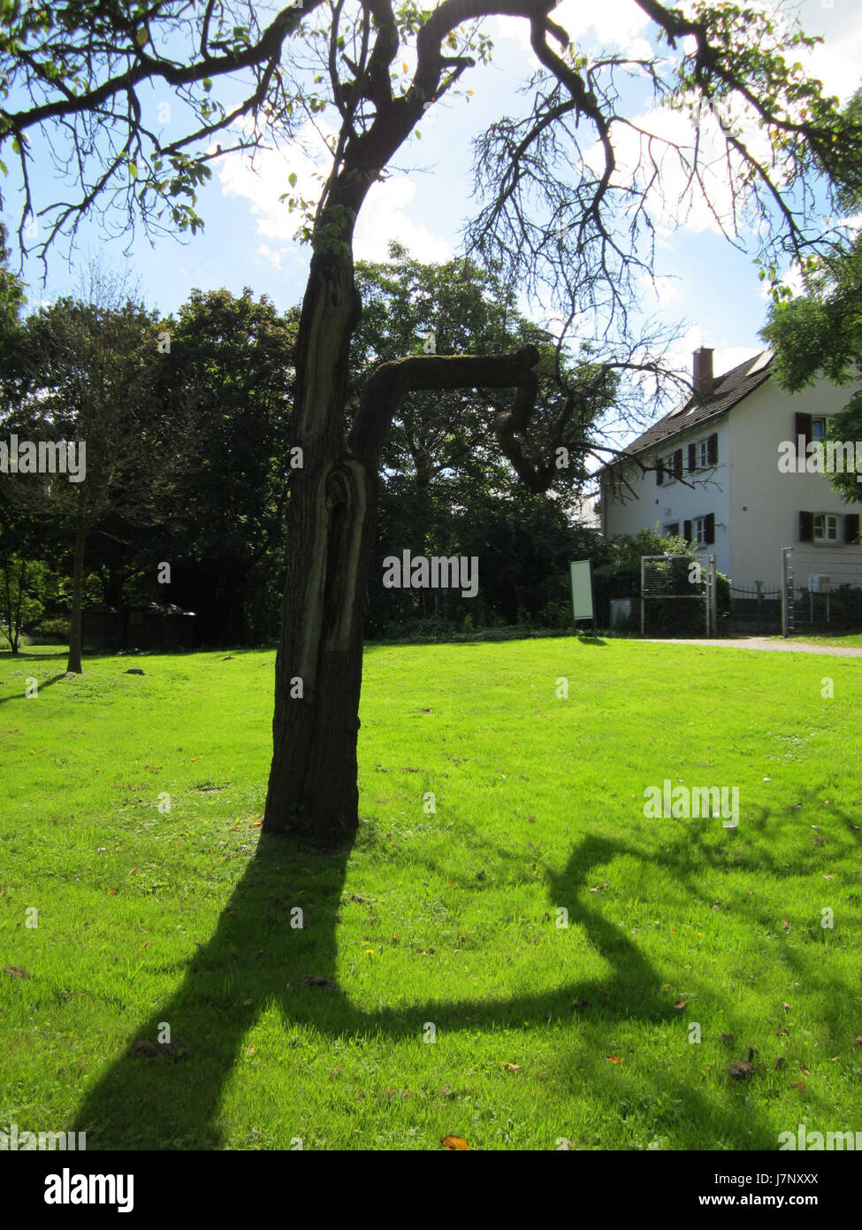 Der Ebertpark in Hockenheim ist ein öffentlicher Park, der für seine landschaftliche Schönheit und seine Grünflächen bekannt ist. Dieses Datum, 20120919, kann sich auf ein bestimmtes Ereignis oder eine Dokumentation des Zustands des Parks während dieser Zeit beziehen und seine Merkmale und Bedeutung in der lokalen Landschaft zeigen. Stockfoto Der Ebertpark in Hockenheim ist ein öffentlicher Park, der für seine landschaftliche Schönheit und seine Grünflächen bekannt ist. Dieses Datum, 20120919, kann sich auf ein bestimmtes Ereignis oder eine Dokumentation des Zustands des Parks während dieser Zeit beziehen und seine Merkmale und Bedeutung in der lokalen Landschaft zeigen. Stockfoto