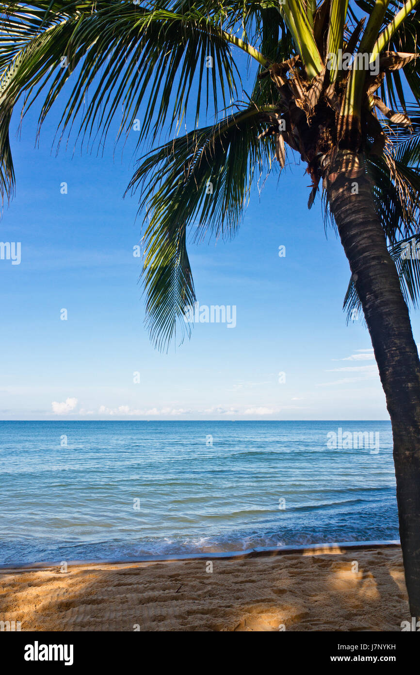 Strand Meer Strand Meer Palmen tropischen Salzwasser Meer Meerwasser Stockfoto