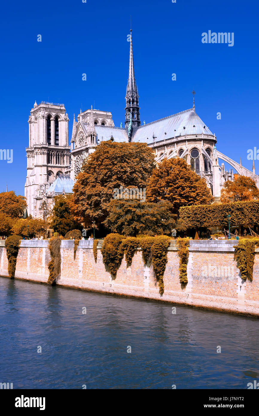Basilika von Notre-Dame in Paris Stockfoto