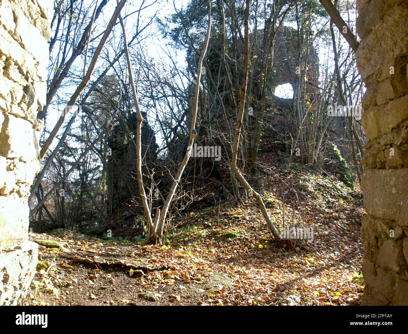 Dieses Bild zeigt die Ruine von Burgruine Freyenstein in Neustadtl aus dem Mittelalter. Die Stätte bietet einen Einblick in die Geschichte der Region mit ihren alten Steinstrukturen und ihrer historischen Bedeutung. Stockfoto
