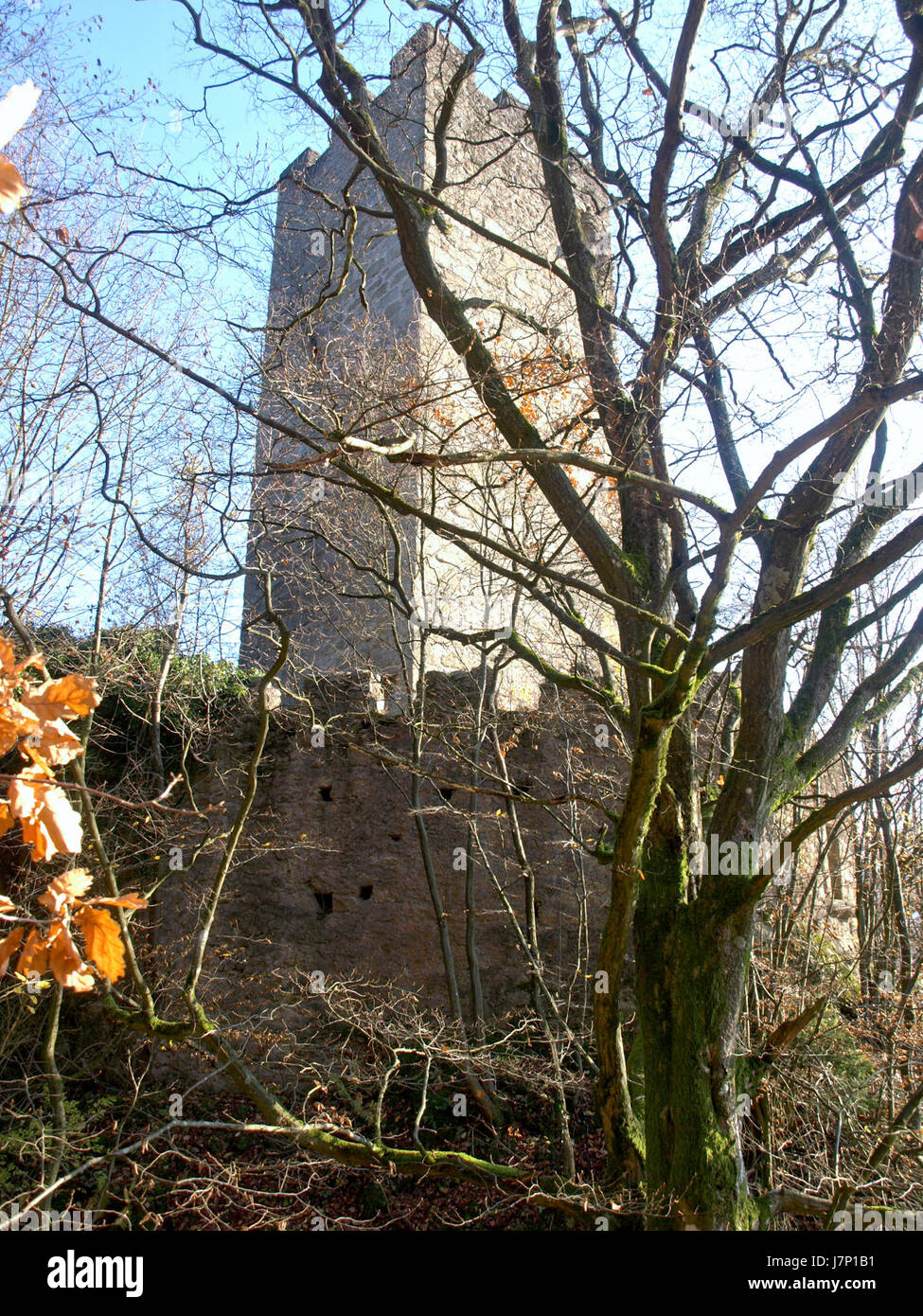 2012.11.14 Neustadtl Burgruine Freyenstein 10 Stockfoto