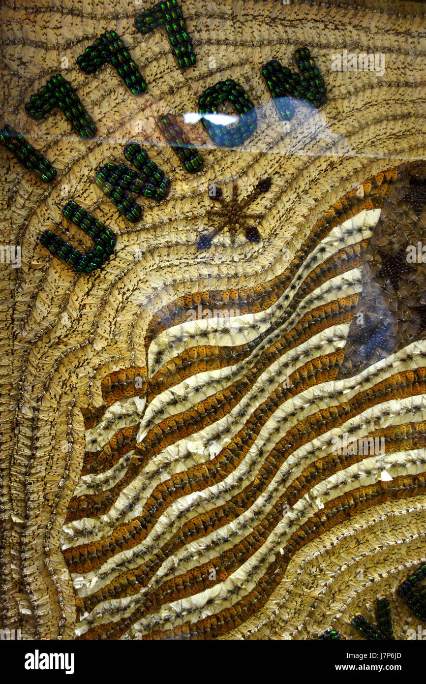 1777 Union Forever von John Hampson, abgeschlossen im Jahre 1897 Fairbanks Museum und Planetarium DSC04275 Stockfoto